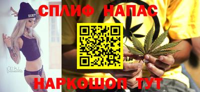 прущие грибы Партизанск