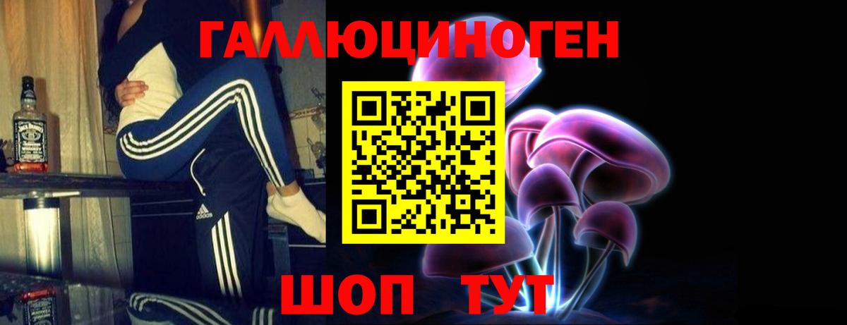 Галлюциногенные грибы Psilocybe Сердобск